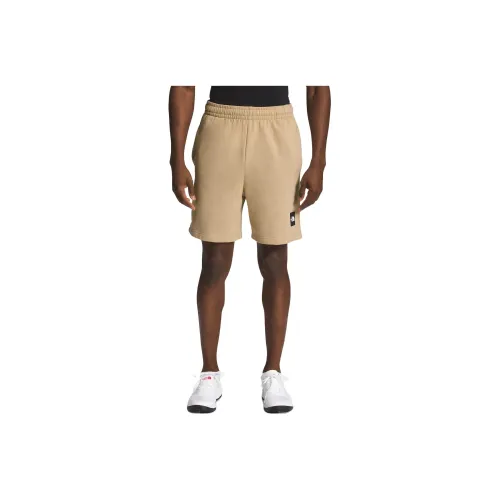 THE NORTH FACE Sports Shorts Men Khaki