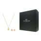 Ginger Yellow Box (Black)