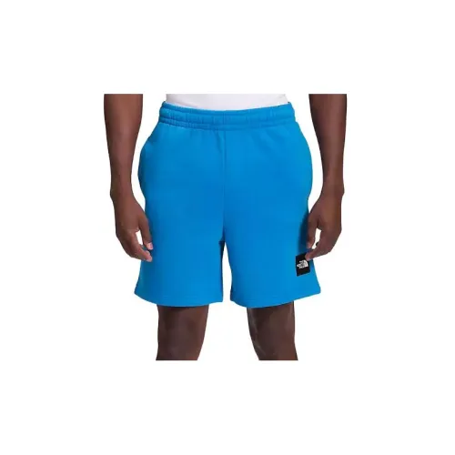 THE NORTH FACE Sports Shorts Men Sky Blue