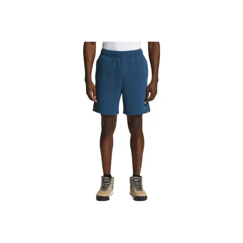 THE NORTH FACE Sports Shorts Men Blue