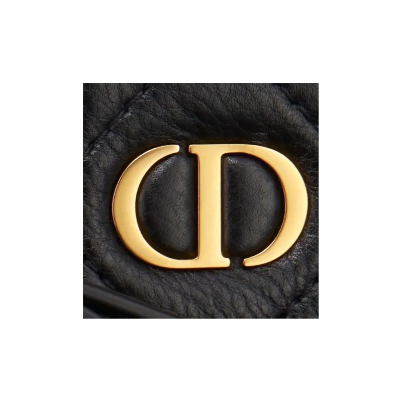 DIOR Caro Series Clutches-5