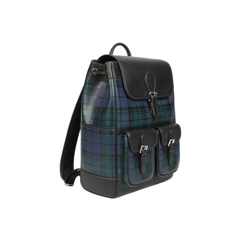 COACH Frankie Cow Leather Backpack Large Size Men's Navy & Green-1