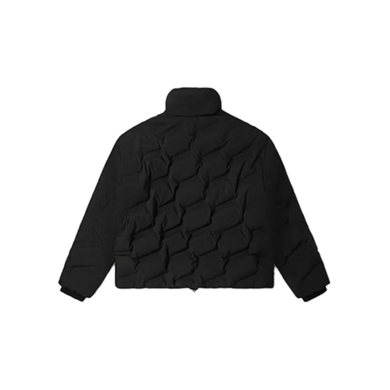 Dickies Down Jacket Women's Black-1
