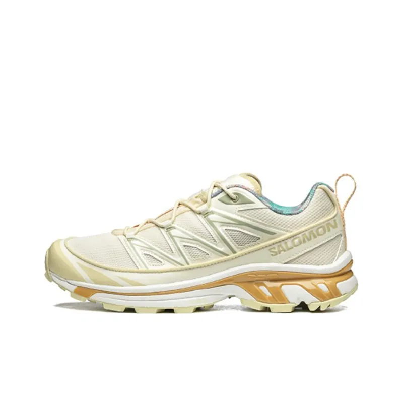 SALOMON XT 6 Expanse Cottage Core 'Cream White'-0