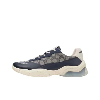 COACH Low Top Casual Shoes Men's Blue Gray