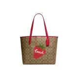 Bag+Dust Bag