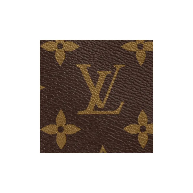 LOUIS VUITTON Paname Set Game On Monogram-4