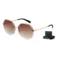 Gradient Tea Brown Lens