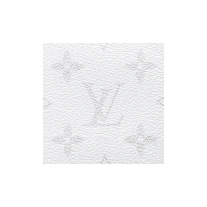 LOUIS VUITTON Brazza Canvas With Leather Wallet Large Size Men's White-5