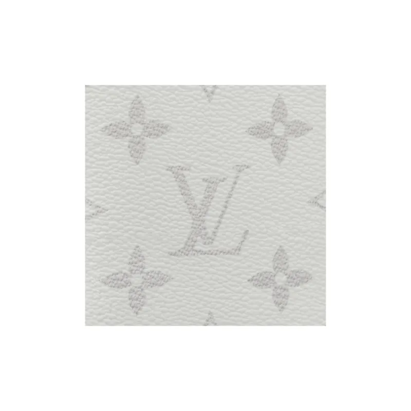 LOUIS VUITTON Pocket Organizer Optic White-5