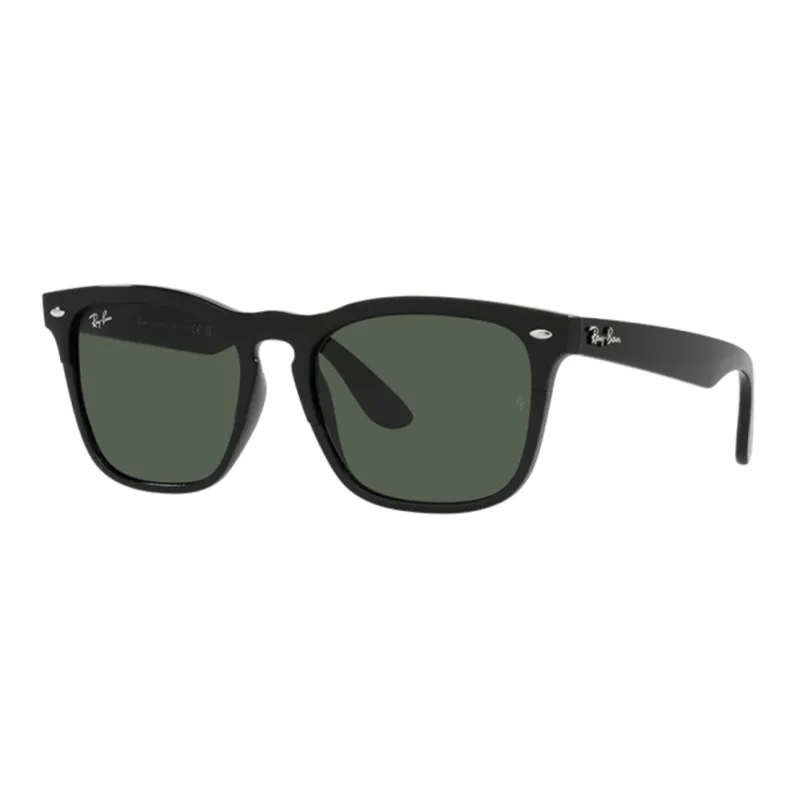 RayBan Steve Square Frame Sunglasses-0