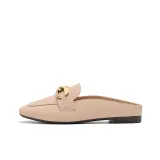 Apricot