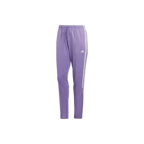 Adidas Knitted Sweatpants Women's Purple