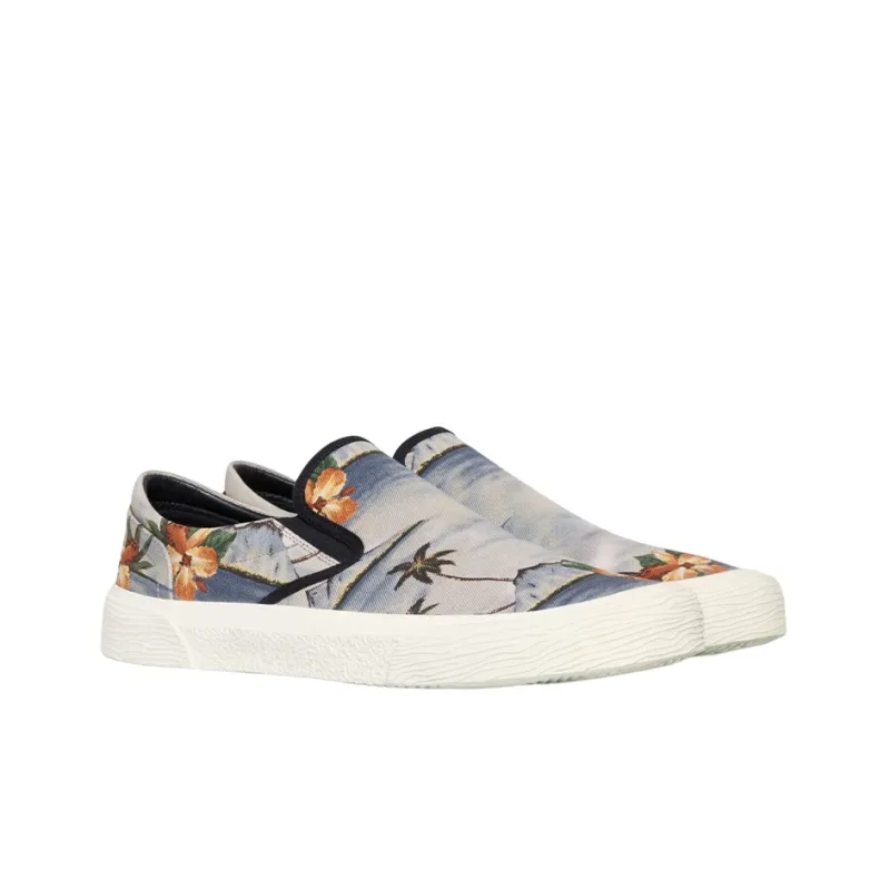 CELINE Low Top Stylish Skateboarding Shoes Men's Blue Beige-2