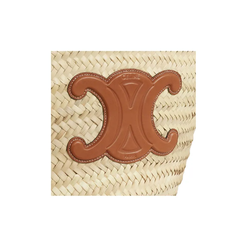 CELINE Triomphe Handbags-4