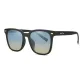 Frosted Black Frame with Smoky Gray Lens