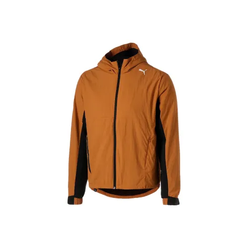 PUMA RUN FAVORITE Jackets Men Coffee