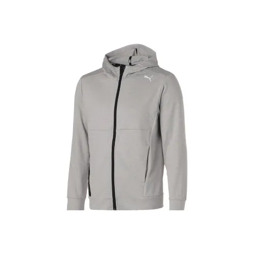 PUMA ACTIVE Jackets Men Light Gray