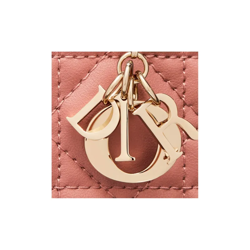 DIOR Lady DIOR Cellphone Pouches-5