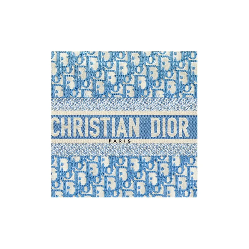 DIOR BookTote Handbag-5