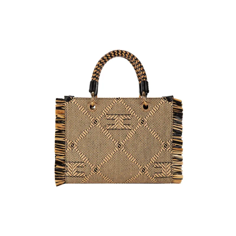 Elisabetta Franchi Nylon Tote Bag Shopping Bag Handbag Mini Women's Brown-1
