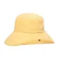 Ginger Yellow