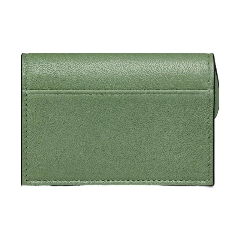 DIOR Saddle Sheepskin Card Clip Card Holder Women's Green-3