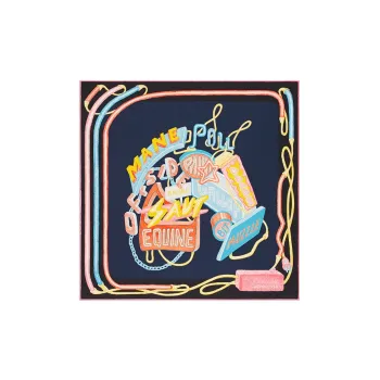 HERMES Silk Scarves Women's Dark Purple