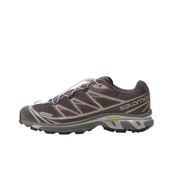 SALOMON XT 6 'Plum Kitten Gull'