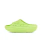 Light Yellow Green