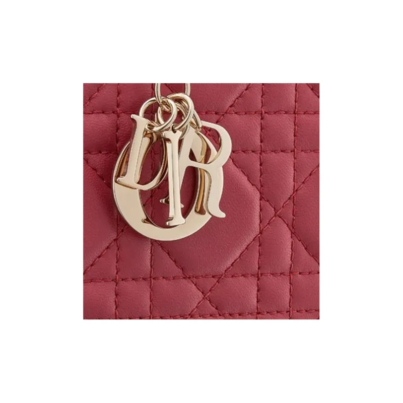 DIOR Lady DIOR Clutches-5