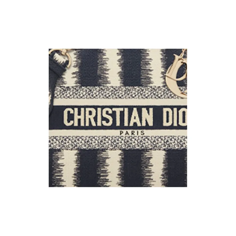 DIOR Lady D Lite Handbags-5