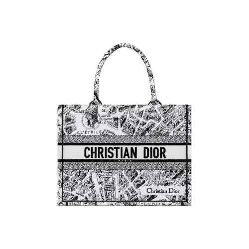 DIOR BookTote Handbags