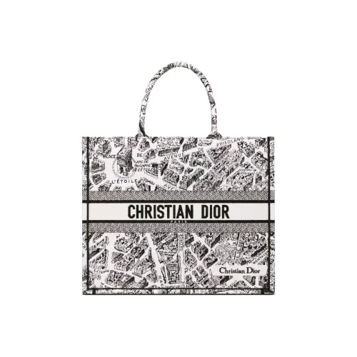 DIOR BookTote Handbags