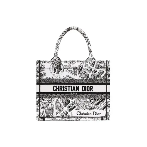 DIOR BookTote Handbags