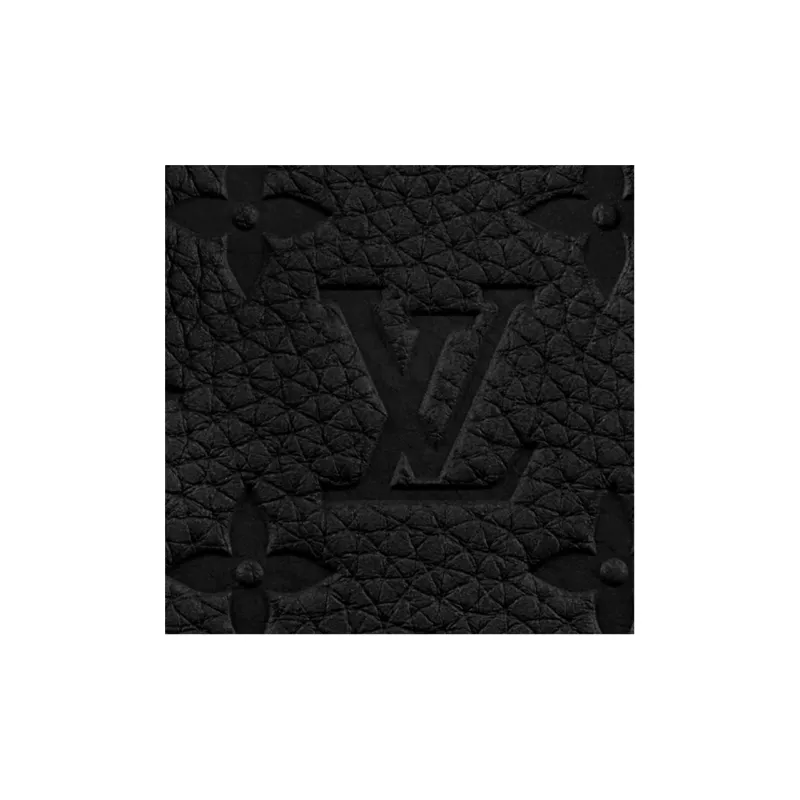 LOUIS VUITTON Speedy Soft Trunk-4