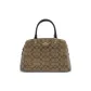 Bag+Dust Bag