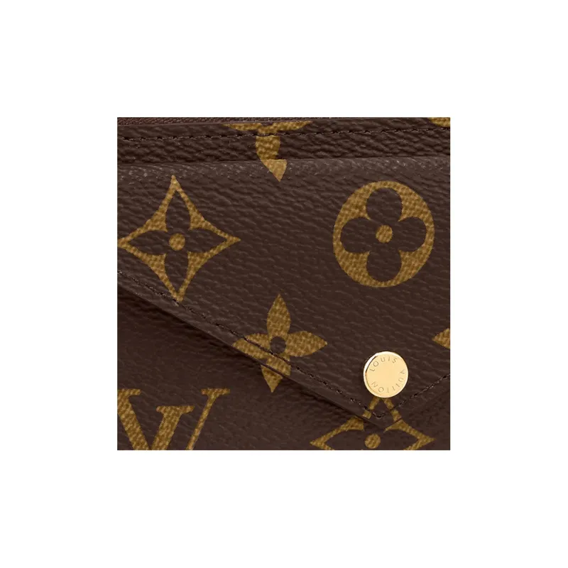 LOUIS VUITTON Card Holder Recto Verso Brown-4