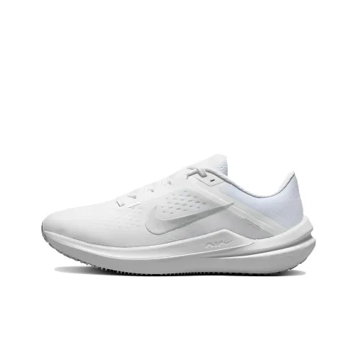 Nike Women's Winflo 10 'White Metallic Silver'