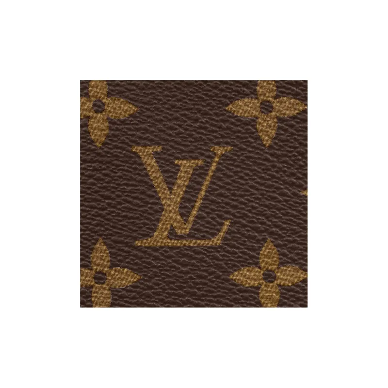 LOUIS VUITTON Soft Trunk Phone Box-4