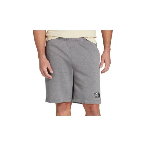 THE NORTH FACE Casual Shorts Men Gray