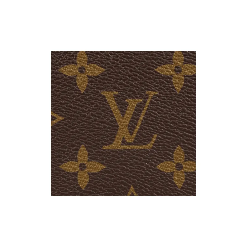 LOUIS VUITTON Speedy Canvas With Leather Pillow Bag Handbag 35 Women's Brown-4