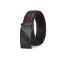 Black Buckle Brown Strap
