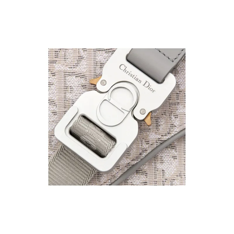 DIOR Saddle Cow Leather Fanny Pack Men's Beige/Grey White-3