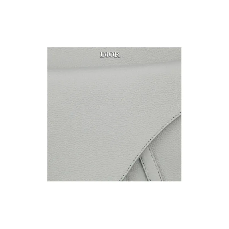 DIOR Saddle Grained Cow Leather Handbag Shoulder Bag Crossbody Bag Unisex Gray White-4