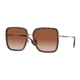 110913-Tortoiseshell/Brown Gradient
