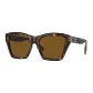 Tortoiseshell/Brown