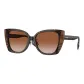 Tortoiseshell/Brown Gradient