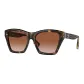 Tortoiseshell/Brown Gradient