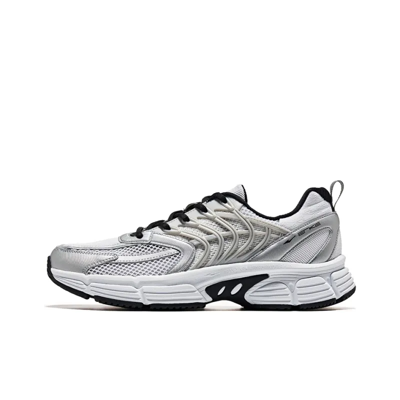 Erke Fishbone Casual Shoes Men Low Top Bright Silver/Jet Black-0